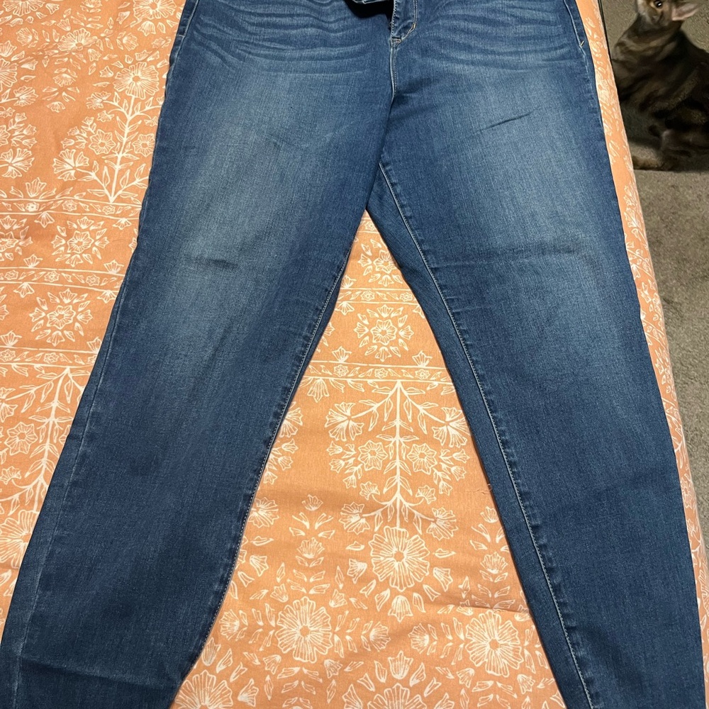 Skinnygirl Blue Skinny Jeans Modern Fit